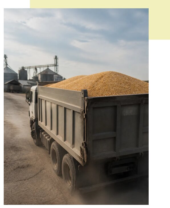 Перевозка сельхозпродукции навалом в Благовещенск по цене от 3116 р. | Агросервис-Бгв